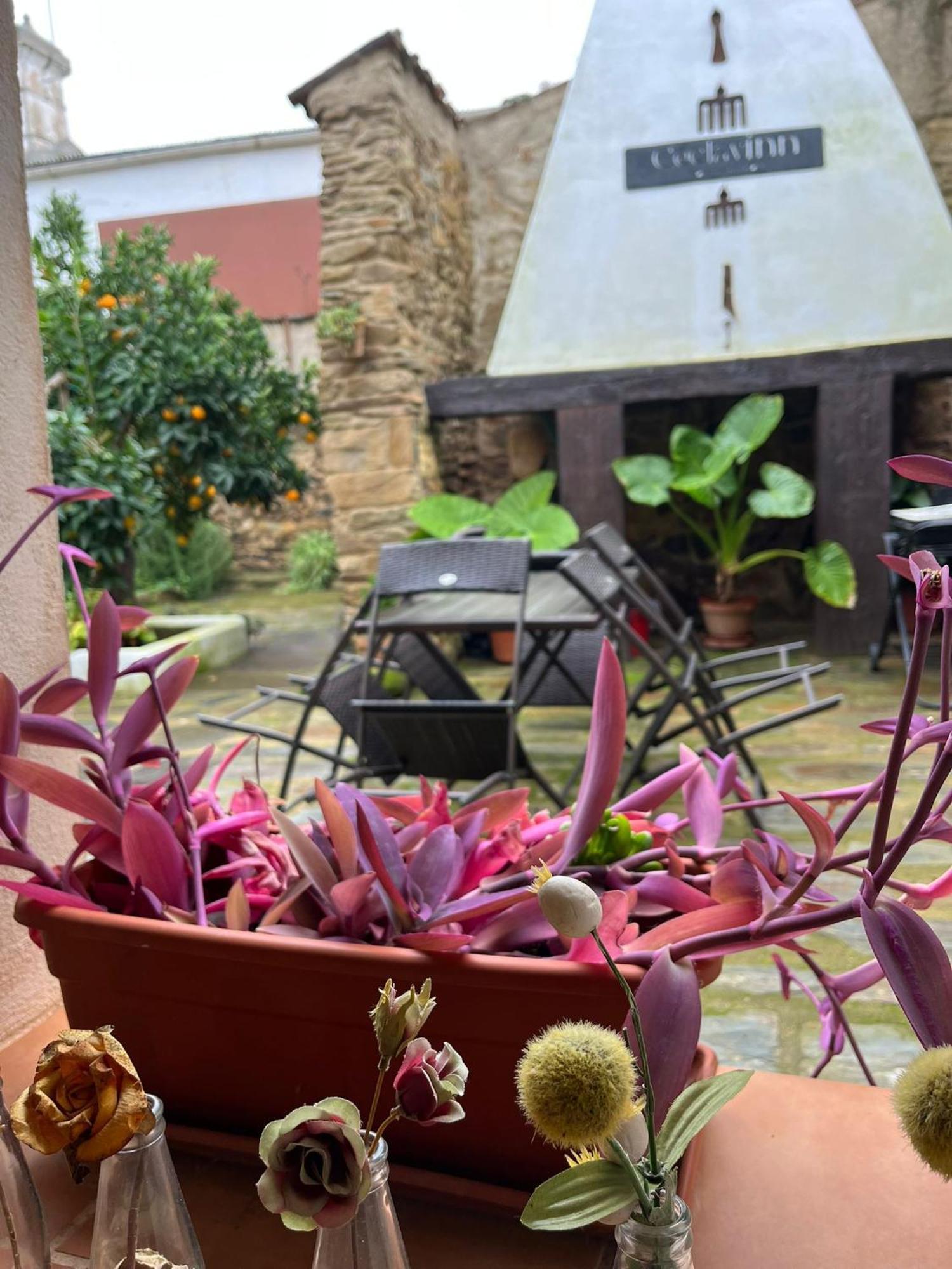 Ceclavinn Casa Rural Esterno foto